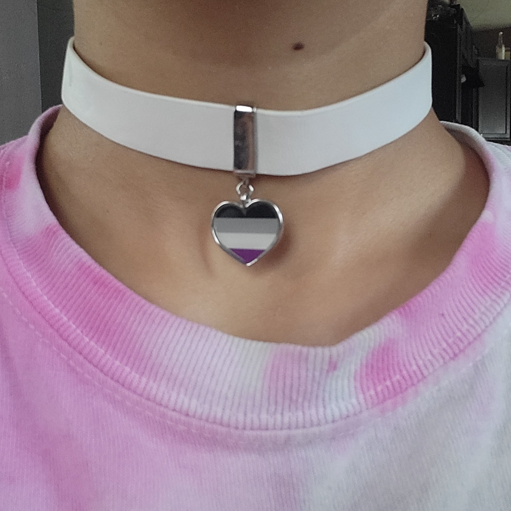 🌷🩷asexual flag heart choker